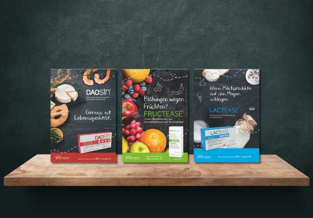 Drei Infobroschüren zu den Themen Histamin-, Fruktose- und Laktoseintoleranzen stehen auf einem Holzregal vor einer dunklen Wand.