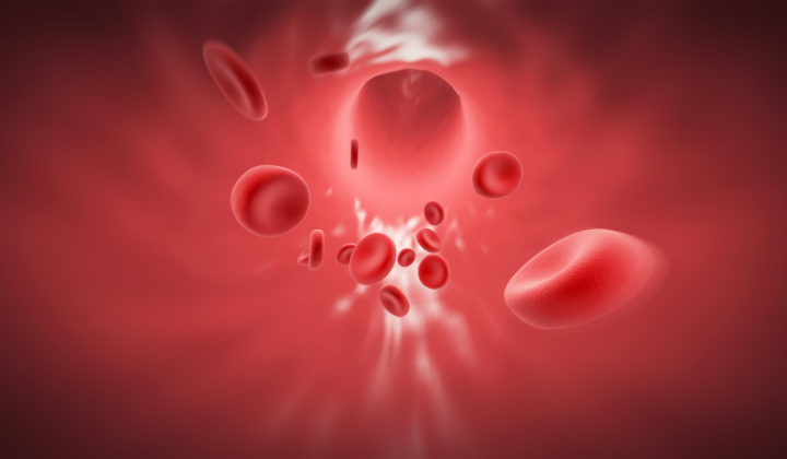 Flux sanguin dans une veine